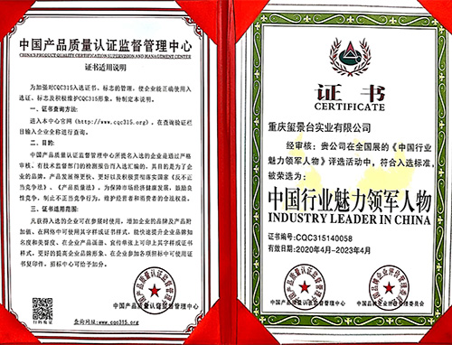 中国行业魅力领军人物