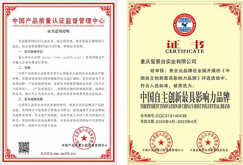 中国自主创新最具影响力品牌