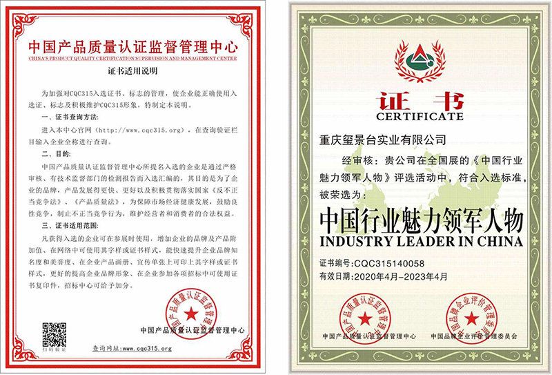 中国行业魅力领军人物
